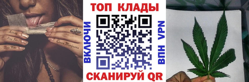 Где купить наркоту Новоржев Псилоцибиновые грибы  Cocaine  Меф  СК  Конопля  Гашиш 