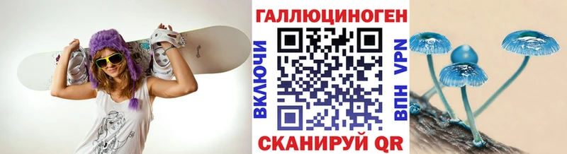Галлюциногенные грибы MAGIC MUSHROOMS  Новоржев 