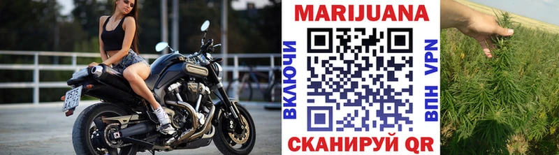 Канабис THC 21% продажа наркотиков Новоржев